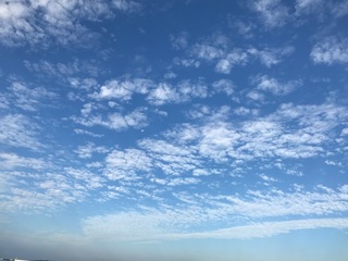IMG_0067.JPG